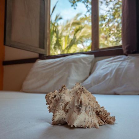 Uvita River Guesthouse Dış mekan fotoğraf
