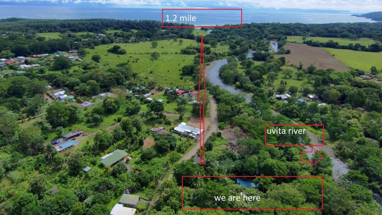 Uvita River Guesthouse Dış mekan fotoğraf