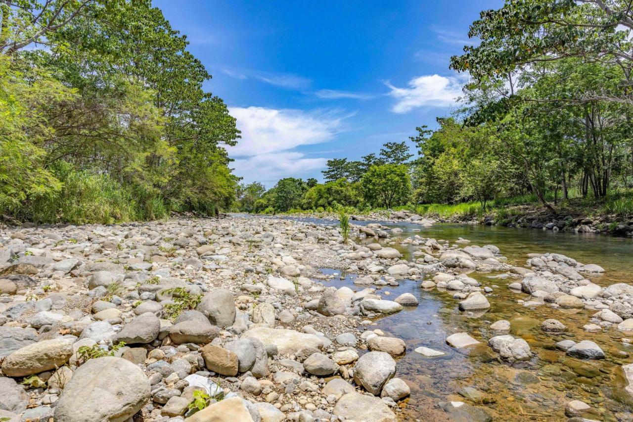 Uvita River Guesthouse Dış mekan fotoğraf