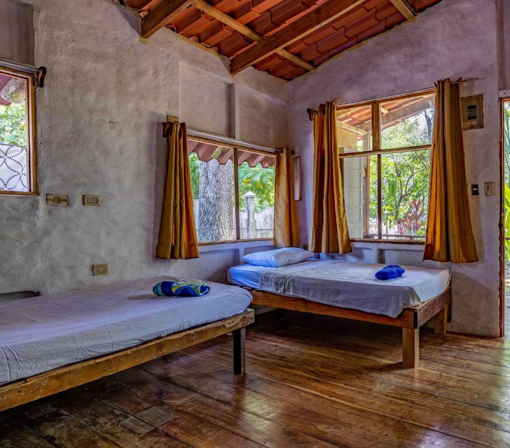 Uvita River Guesthouse Dış mekan fotoğraf